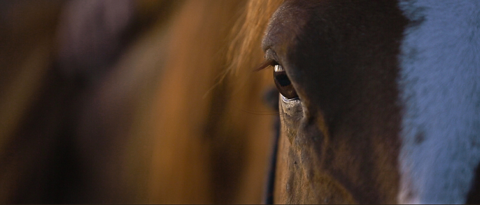 Image réalisée par Ineoprod